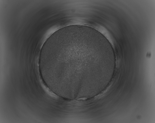 X0000096630954200802121044