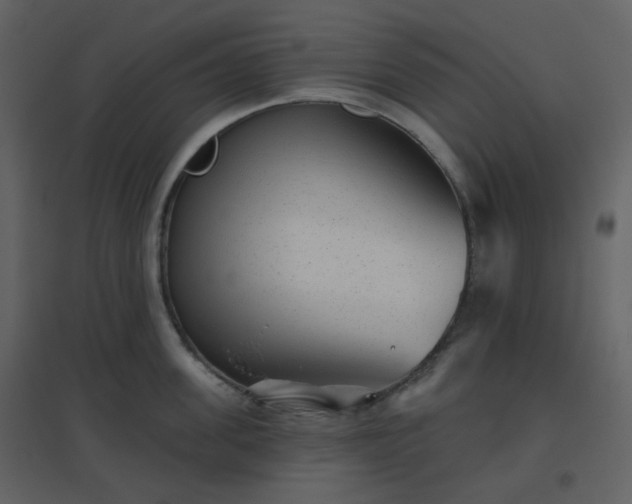 X0000096630955200802121044