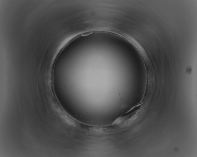 X0000096630956200802121044