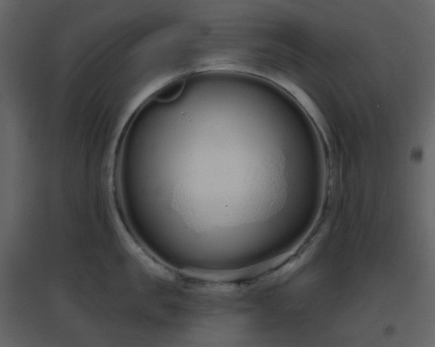 X0000096630957200802121044