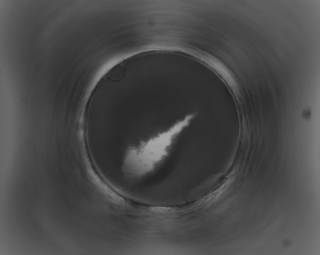 X0000096630958200802121044
