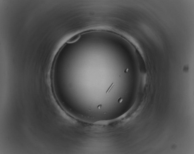 X0000096630959200802121044