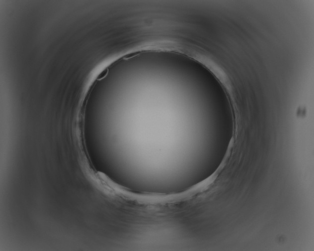 X0000096630960200802121044