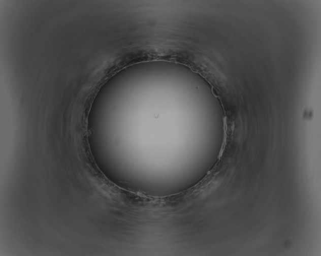 X0000096630961200802121044