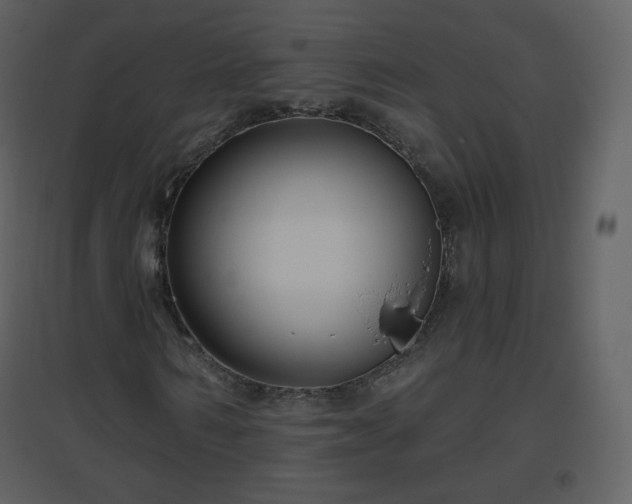 X0000096630962200802121044