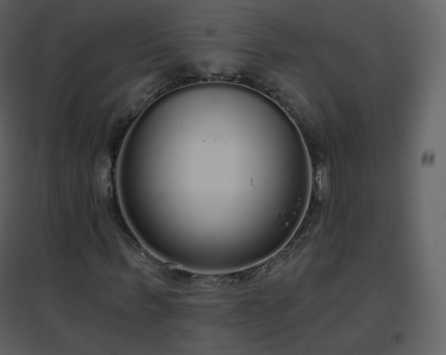 X0000096630963200802121044