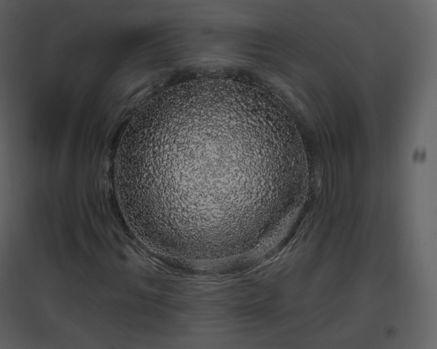 X0000096630964200802121044