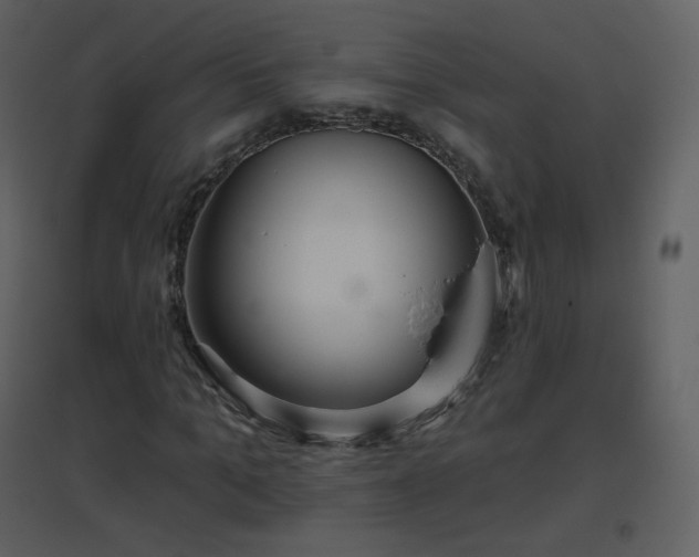 X0000096630965200802121044