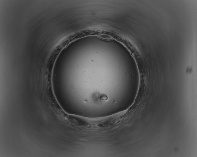 X0000096630968200802121043