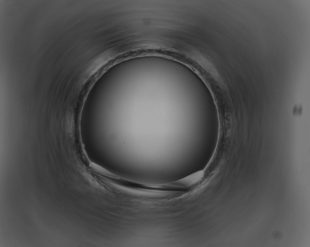 X0000096630969200802121043