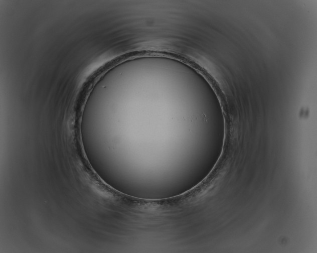 X0000096630971200802121043