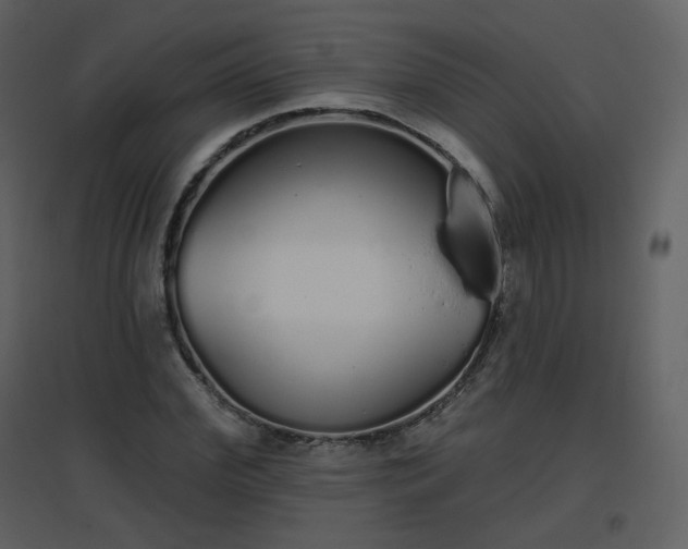 X0000096630972200802121043