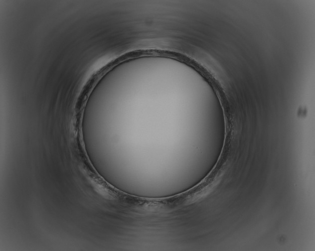 X0000096630974200802121043