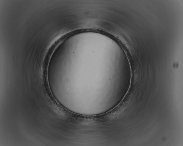 X0000096630975200802121043