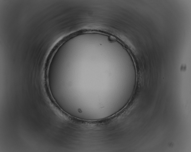 X0000096630976200802121043