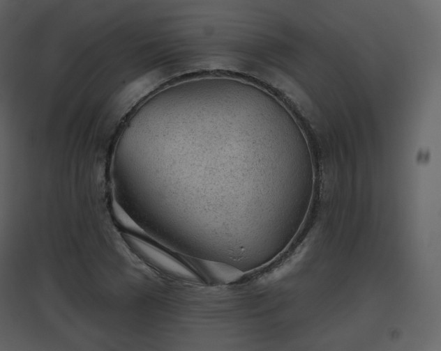 X0000096630977200802121043