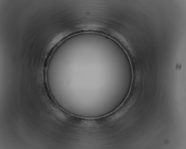 X0000096630978200802121043