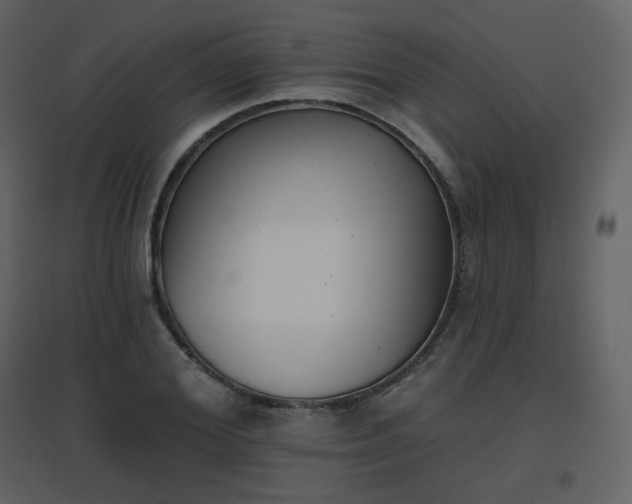 X0000096630980200802121043