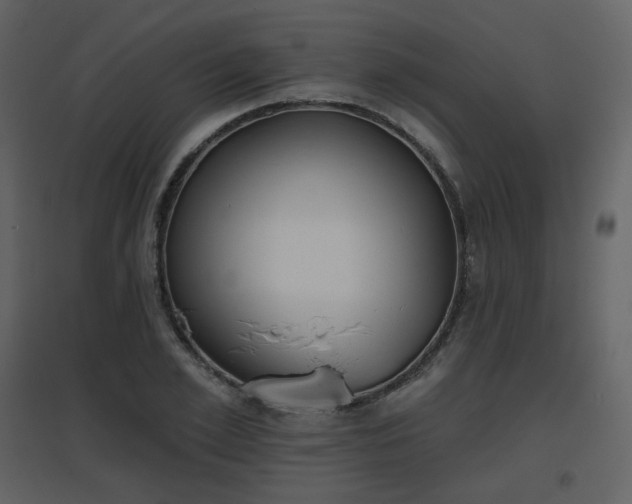 X0000096630981200802121043