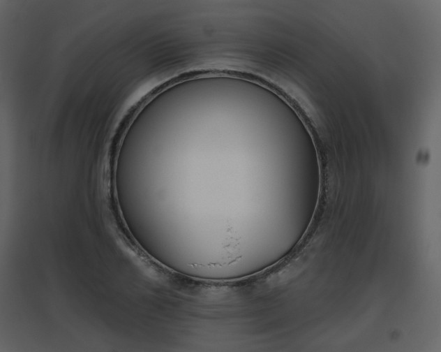 X0000096630982200802121043
