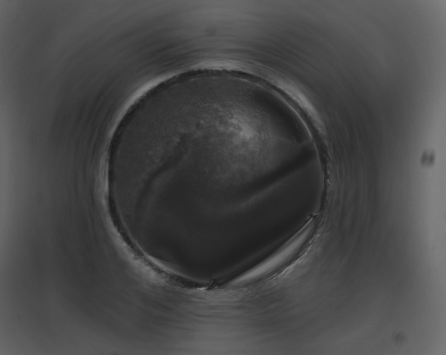 X0000096630984200802121043