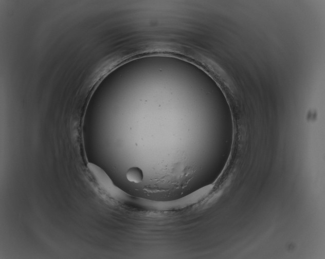 X0000096630985200802121043