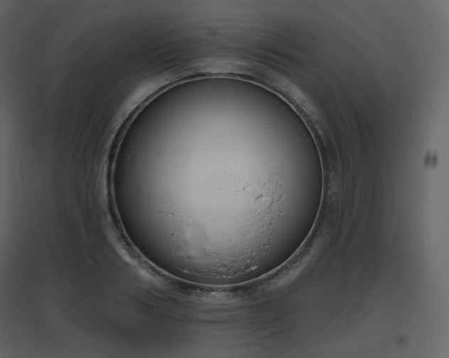 X0000096630986200802121043