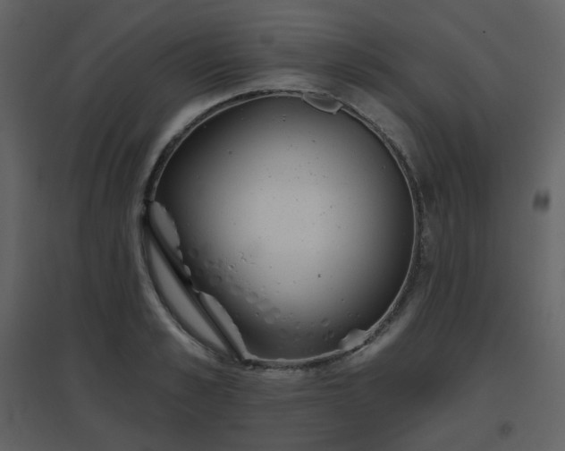 X0000096630989200802121043
