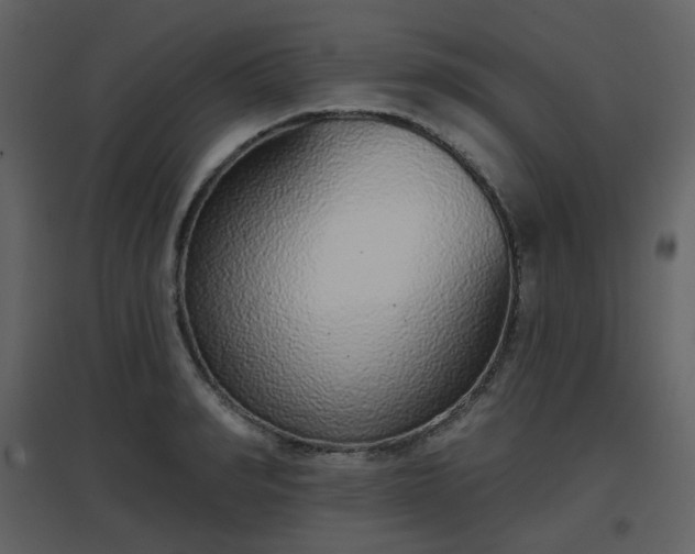 X0000096630990200802121043