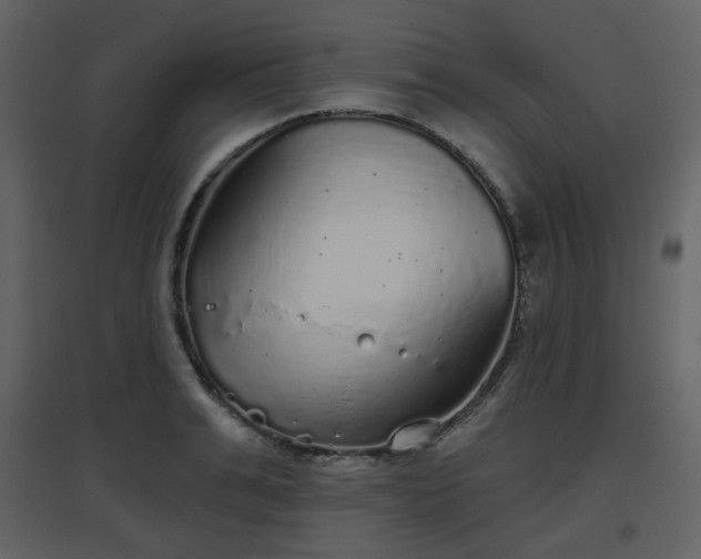 X0000096630991200802121043