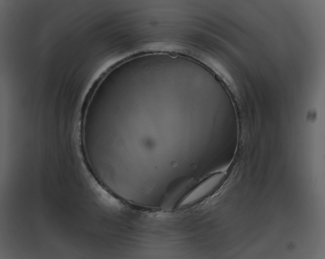 X0000096630992200802121043