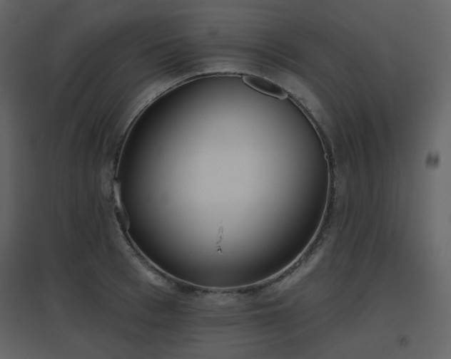 X0000096630993200802121043