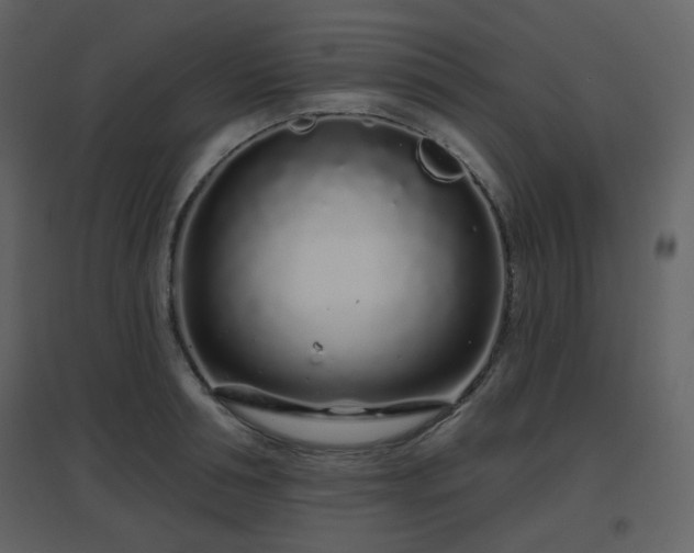 X0000096630994200802121043