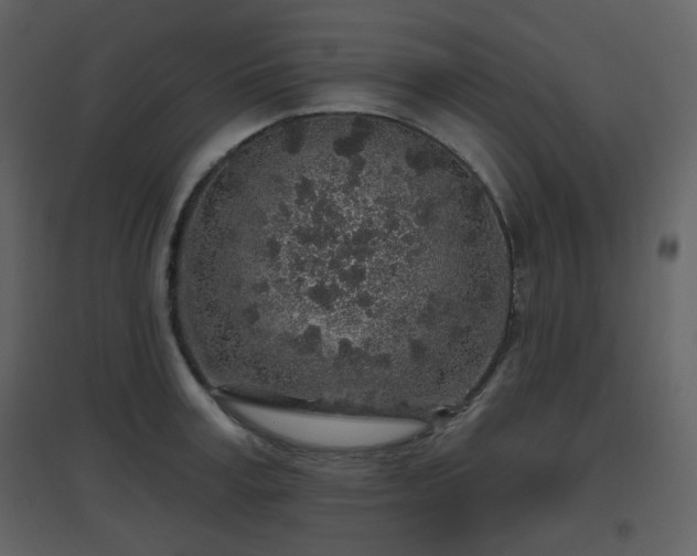 X0000096630995200802121043