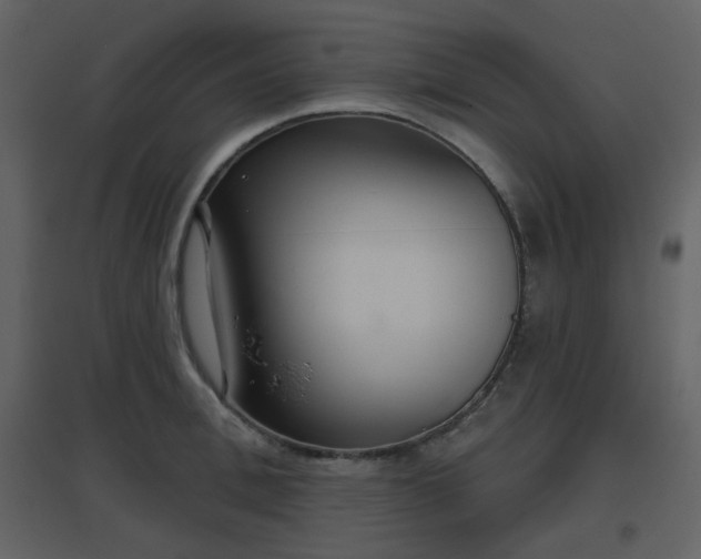 X0000096630996200802121043
