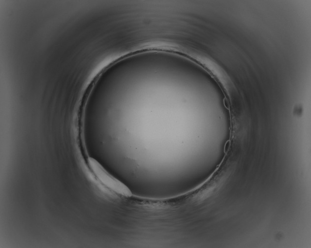 X0000096630999200802121043