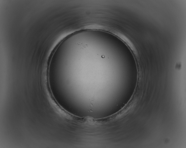 X0000096631000200802121043