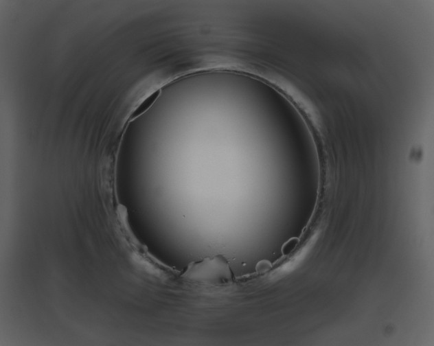 X0000096631001200802121043