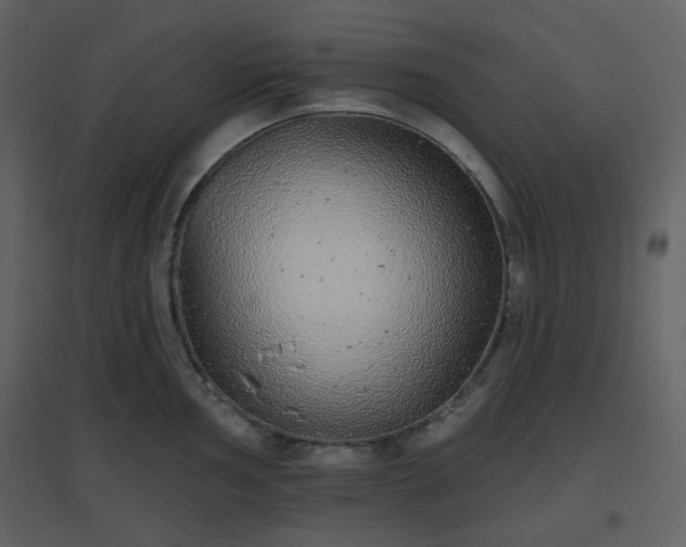 X0000096631002200802121043