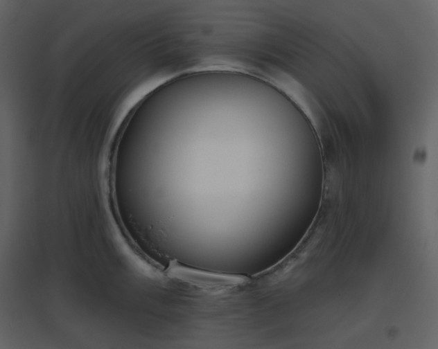 X0000096631003200802121043
