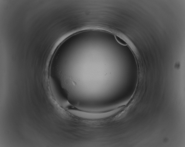 X0000096631004200802121043