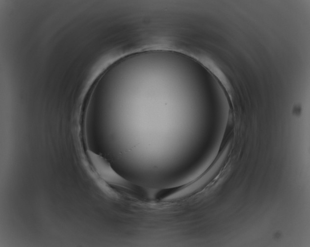 X0000096631005200802121043