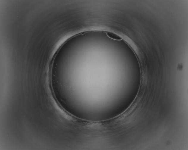 X0000096631006200802121043
