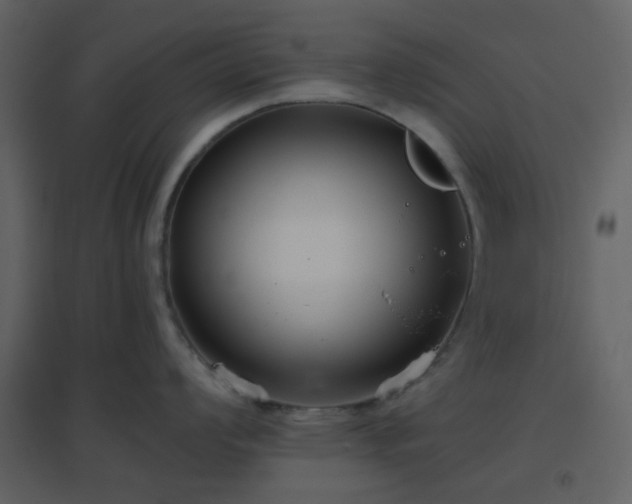 X0000096631008200802121043