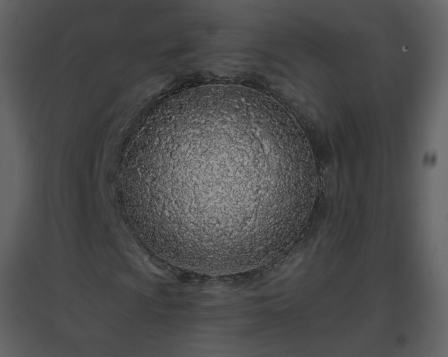 X0000096631009200802121042