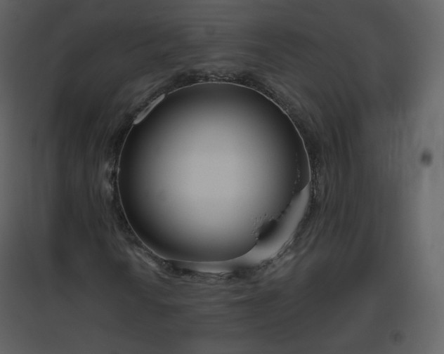 X0000096631010200802121042