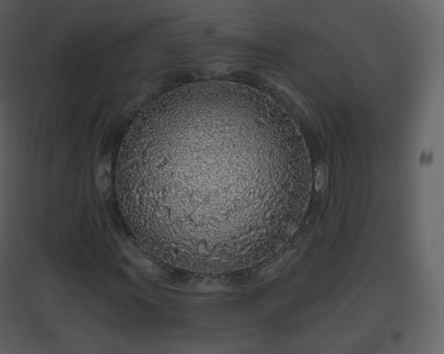 X0000096631011200802121042