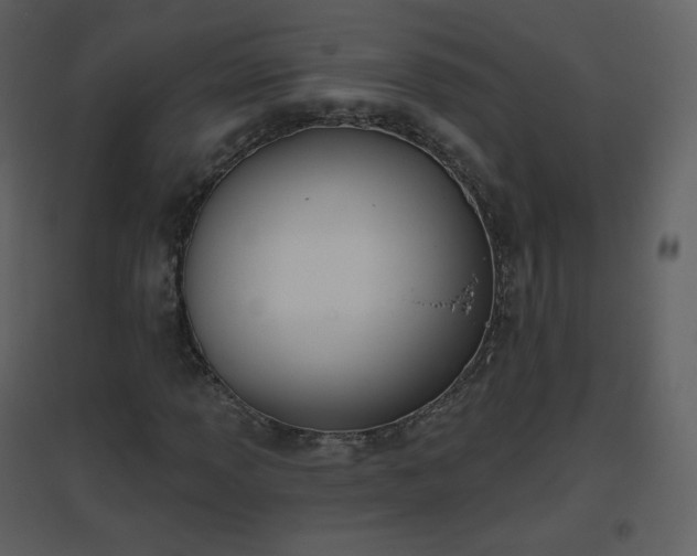 X0000096631013200802121042