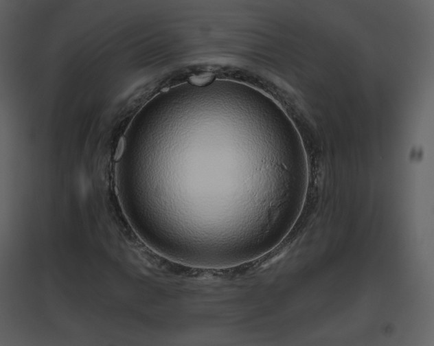 X0000096631014200802121042