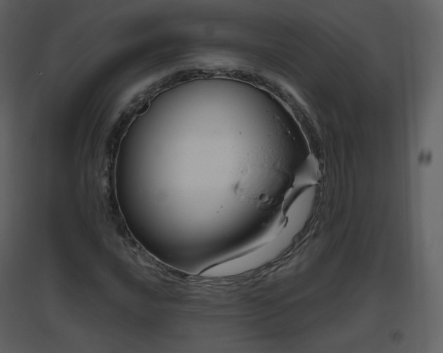X0000096631016200802121042